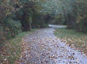 what's around the corner?