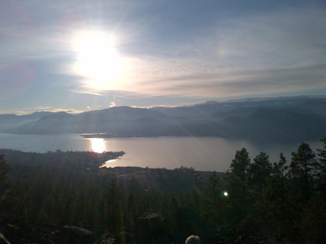 Forest Alchemy of Another Day